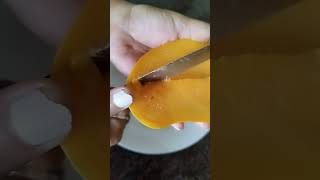 শ্রীলঙ্কার আম | Mango Of Jaffna,Sri Lanka #fruit #mango #fruitcutting