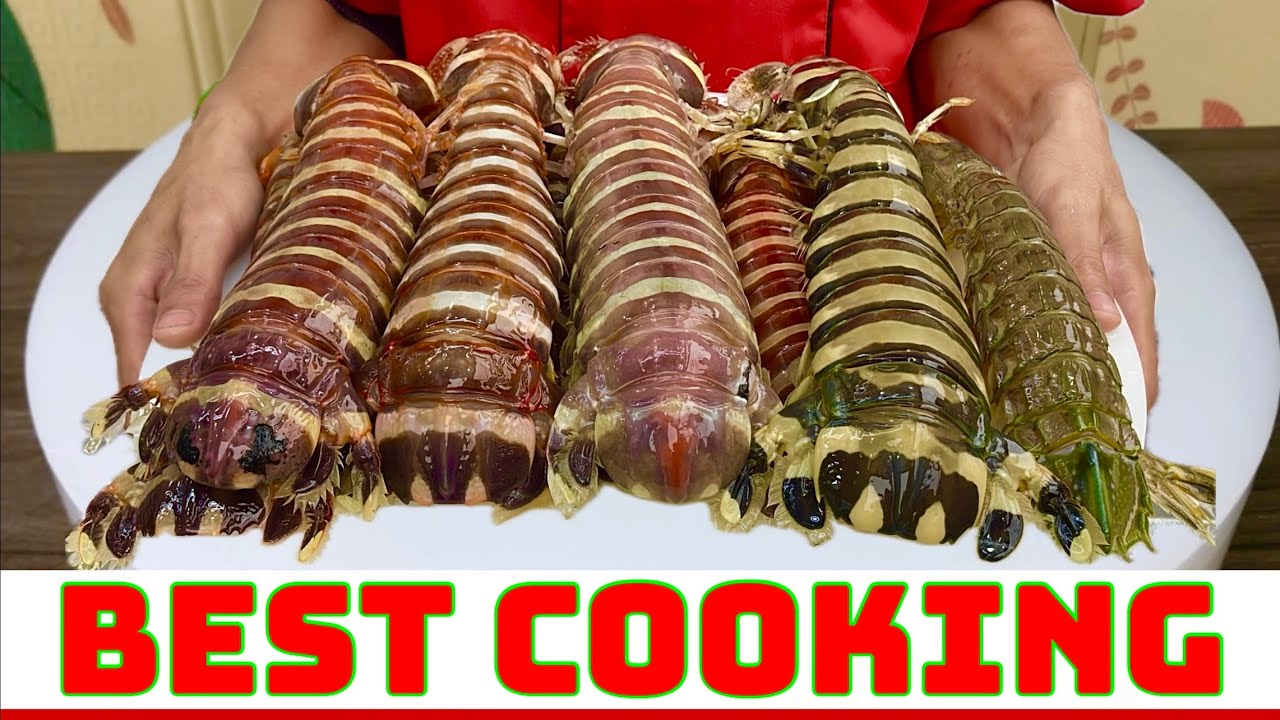 Red Mantis Shrimp Nutritious Mantis Shrimp Recipe Best Cooking
