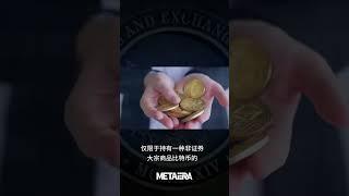 十年蹉磨终落幕，SEC 向市场做出妥协 —— 现货比特币 ETF 审核通过，BTC 迎来新篇章！✨#metaera #shorts