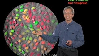 Microscopy: Fluorescent Protein Indicators (Roger Tsien)