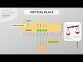 gamma camera components u0026 function l visual explanation