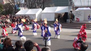 十人十彩・その２　～2014おきゃく・よさこい春の舞(高知市中央公園)