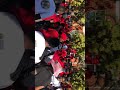 EFFSC MUT BRANCH - MUT Strike