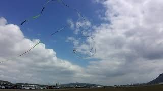 2019 Taoyuan international Kite Festival 9