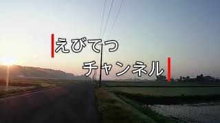 ちょっと疲れが出てくる木曜日「今日もコツコツ朝散歩。」【えびてつチャンネル】