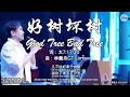 好树坏树 Good Tree Bad Tree