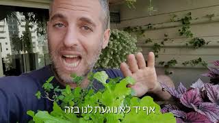 קורס גידול ירקות חורף במרפסת - טיפוח גינה מזינה בתוך העיר