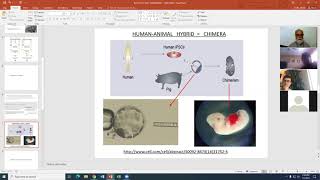 BIO 510 LECTURE 14 MATERNAL   FETAL MED