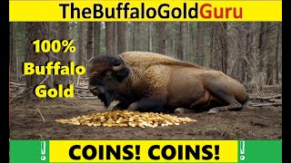 Buffalo Gold 🥇COIN TUTORIAL 🥇and more at the Lovely CHOCTAW Casino!