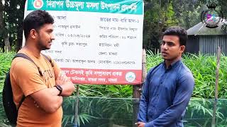 শীতের মরশুমে অল্প জায়গার মধ্যে লাভজনক ব্যবসা খুবই অল্প টাকা ইনভেস্ট করে।#unfrezzmyaccount #magura