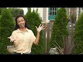 ask this old house drill drivers patio expansion s20 e9 full episode