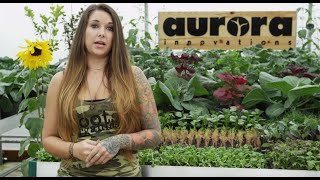 Aurora Innovations Roots Organics Liquid Nutrients