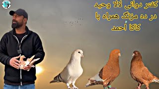 کفتر دوانی لالا وحید در ده مزنگ همراه با کاکا احمد ..