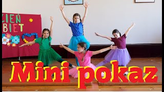 Mini pokaz