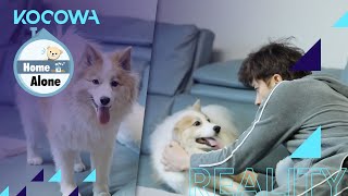 Sung Hoon plays with his dog right as he gets home [Home Alone Ep 389]