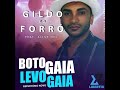 gildo do forrÓ feat. aline mel boto gaia levo gaia