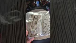 How to change air condition filter for Lexus rx330. របៀបដោះ អ៊ារម៉ាសុីនត្រជាក់Lexus rx330