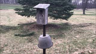 OldGuyDIY Bluebird Bird House Post Predator Coon Squirrel Guard of Hanging Plant Base \u0026 Fencing Wire