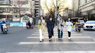 Beijing Walking,Walk from Xueyuan South Road to Weigong Village/步行学院南路到魏公村【4K HDR】