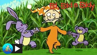 Ed Edd n Eddy | Dreams and Nightmares | Cartoon Network