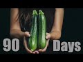 Growing Zucchini 🥒 90 Days Time Lapse