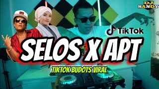 SELOS X APT (TikTok Budots Viral) | Dj Sandy Remix