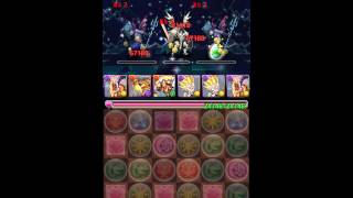 パズドラ【星空の神域】神々の王　闇ファガンPT（2分前後）