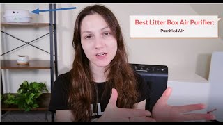 Purrified Air Litter Box Air Filter Review