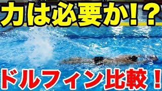 【バタフライ】ドルフィンキックを比較！【足は水上に出す？】沈まず楽に長く泳ぐ為のコツ・テクニック