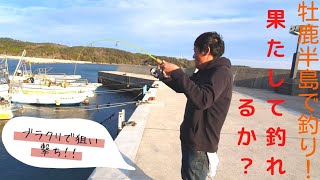 牡鹿半島で釣り！アイナメ釣り！！