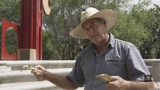 Garden Tools Natural Organic Design to aid arthritic gardeners 03