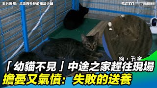 「幼貓不見了」中途之家趕往現場　擔憂又氣憤：失敗的送養｜三立新聞網 SETN.com