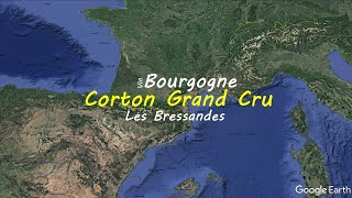 Corton Grand Cru Les Bressandes  | French wine map | Wine study