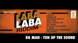 Reggae 2013 - Laba Laba Riddim (Bizzarri Records 2013)