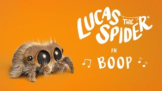 Lucas the Spider - Boop! - Short