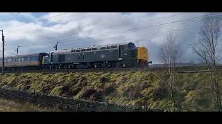 D213 on 1z13 Crewe Inverness LSL charter 24/02/24 Scout Green