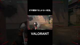 【VALORANT】ガチ解除の脳汁えぐない？#shorts  #valorant  #valorantclips #ガチ解