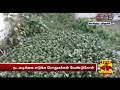 people of lalgudi trichy request government to desilt canal thanthi tv