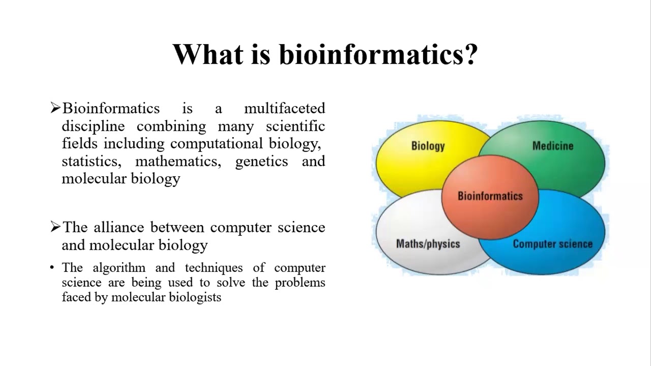 Lec#1 Session 1 Bioinformatics - YouTube