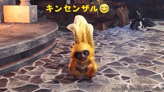 PS5　フレームレート優先？解像度優先？　のんびり狩猟生活🍖番外編エンジョイプレイ動画🦉＃Monster Hunter Wilds Beta test: