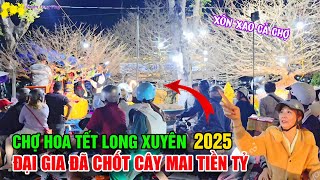 Quá Bất Ngờ Có Đại Gia Chốt Cây Mai Tiền Tỷ Xôn Xao Chợ Hoa Tết Long Xuyên 2025