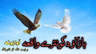 Pashto New Naat ] Baaz Ao Kontara || Pashto Naat
