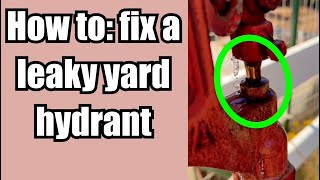 HOW TO: fix a leaky yard hydrant #y34 #yardhydrant #iowa #woodford