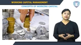 WORKING CAPITAL MANAGEMENT