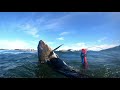 Spearfishing in Victoria 2021 