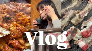 [vlog]일상 먹방 브이로그🖤| 이차돌 차돌삼겹과 된장찌개/엽기 닭볶음탕/포케 가게 인수 준비/왕돈까스/닭갈비/삼겹살 먹방