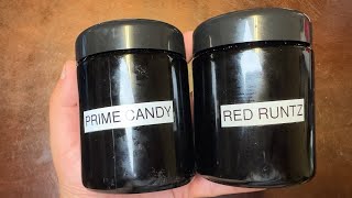 400th Episode! Checking Out Prime Candy & Red Runtz! Smoke Sessions Episode 400!
