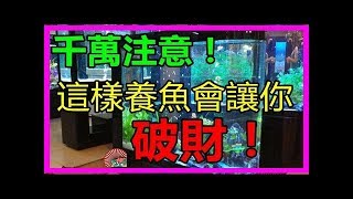 千萬注意，這樣養魚會讓你破財！