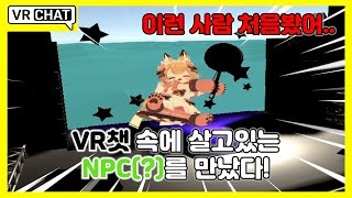 슈)VR챗에서 만난 NPC(?) [VRchat,브이알챗]