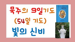 청원26일)빛의 신비/묵주의 9일기도/묵주기도로 드리는 9일기도/청원기도/54일기도/로사리오 기도